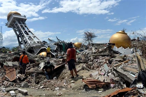 印尼地震和海啸：中苏拉威西省灾后重建工作大力展开