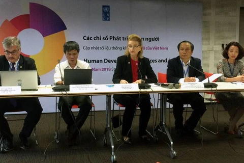人类发展与减贫：越南的进步与挑战