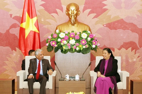 越南将继续积极参与联合国各项活动