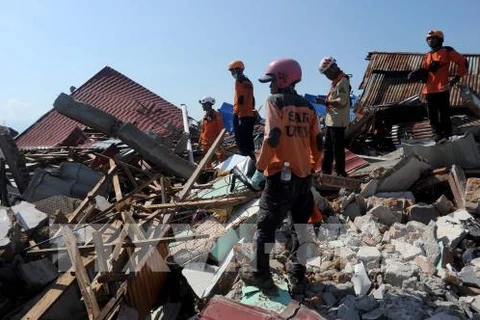 印尼地震和海啸：恢复重建工作将于11月初开始