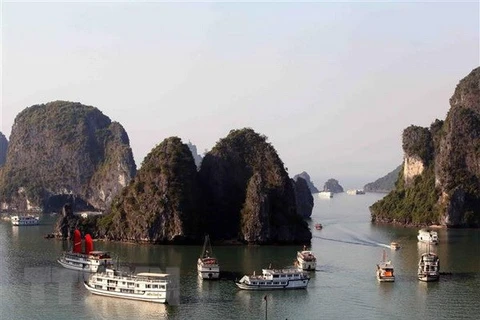 东盟旅游论坛有助于提高越南旅游的地位