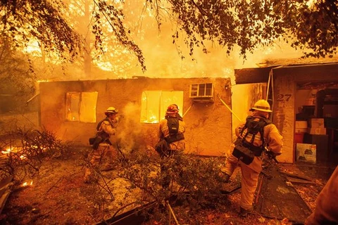 越南驻美国大使馆：美国加州森林大火事故中尚未有越南人伤亡报告