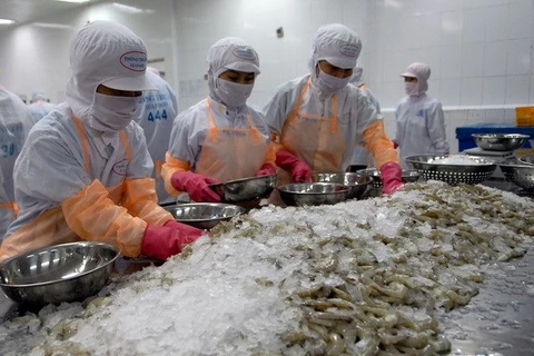 越南白脚虾对欧盟的出口保持上升态势