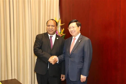 越南政府副总理兼外长范平明与巴布亚新几内亚外长举行会谈
