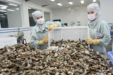 加拿大是越南富有潜力的虾类出口市场