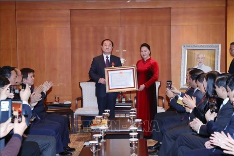 阮氏金银向韩国越南学研究学会主席授予友谊勋章