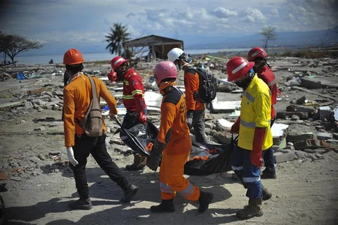 德国为印尼灾区重建援助2500万欧元 