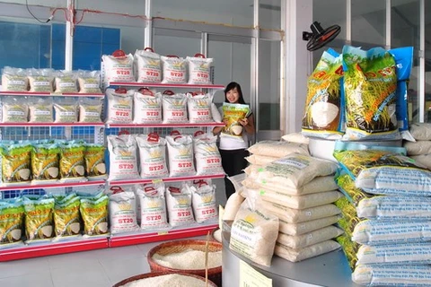 越南朔庄香米—世界三大最好大米获国内外市场的青睐