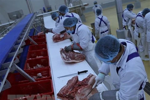 河南肉类制品加工厂建设项目竣工仪式在河南举行