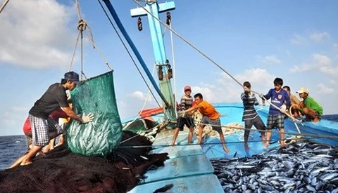 茶荣省努力提升海洋资源开发利用效益