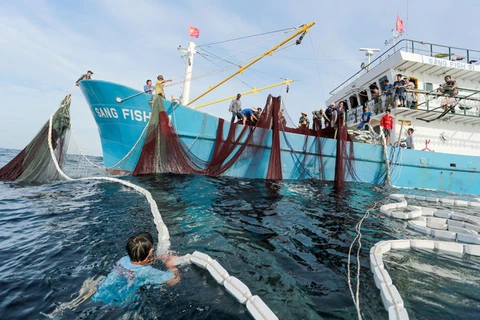解除IUU黄牌警告：永久性撤销侵犯国外海域越南渔船的营业执照