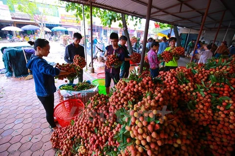 中国进口政策改变 越南部分农产品出口中国遇阻