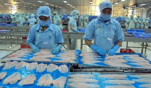 2019年越南查鱼出口有望保持良好的增长势头