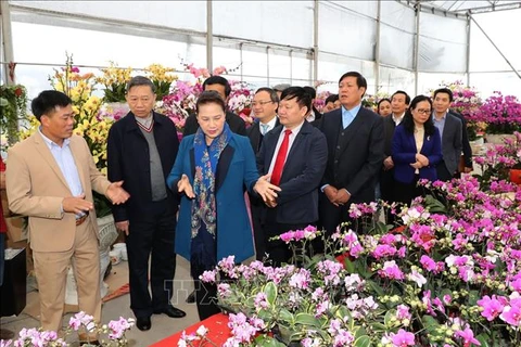 越南国会主席阮氏金银在兴安省新农村乡调研