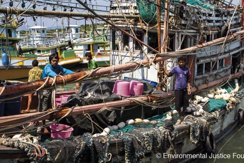 泰国脱离欧盟“预备非法捕鱼国”黑名单 