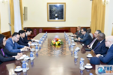 越南外交部副部长阮国强会见非洲各国驻越大使