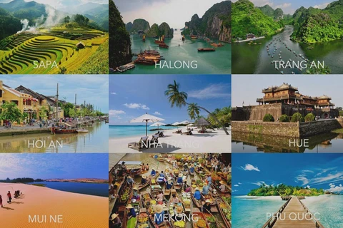 2018年越南旅游业成绩斐然 