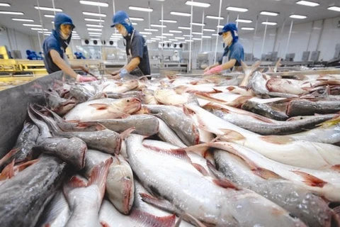 越南——世界最大的查鱼出口国