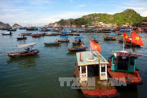 越南海洋岛屿：制定海洋经济可持续发展战略实施计划