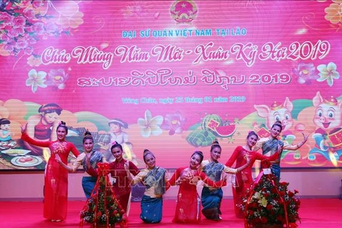 越南驻多国大使馆纷纷举行迎春活动