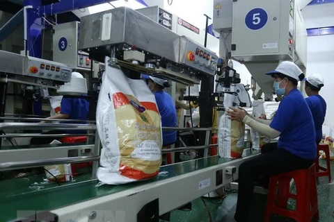 越南优质大米产品得到全球广大消费者的认可