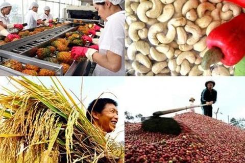 日本对越南86%商品取消进口关税