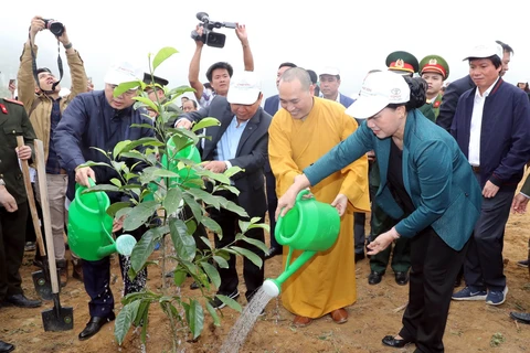 国会主席阮氏金银出席和平省植树造林出征仪式