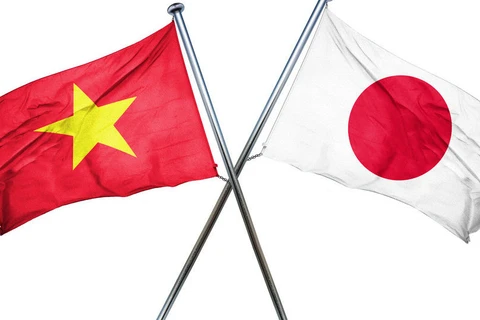 建立健全的越南——日本合作框架内的越南工业化战略指导委员会