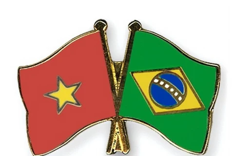 巴西同越南一道努力推动双边关系取得新的进展