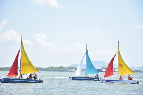 2019年巴地头顿省帆船赛今日正式开赛