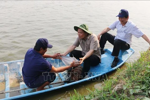 农业与农村发展部部长阮春强：越南是查鱼产业的潜在市场