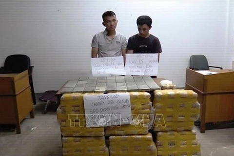 越南破获一起特大毒品运输案并抓获两名犯罪嫌疑人