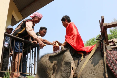 颇具本土文化特色的祈求大象健康仪式在得乐省举行 