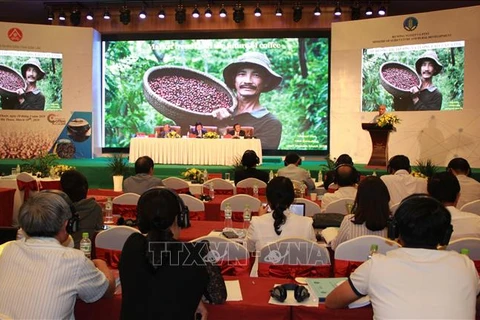 提高越南咖啡价值 促进特产咖啡发展