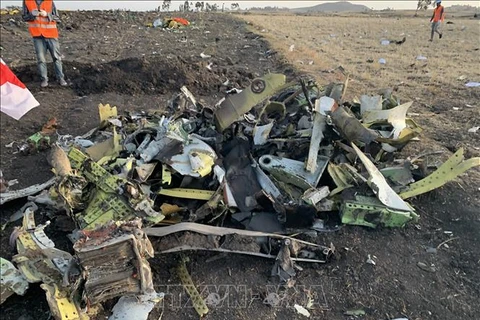 埃塞俄比亚客机坠落事故：印度尼西亚愿意提供协助