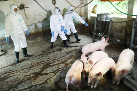 农业与农村发展部就非洲猪瘟疫情防控工作召开紧急会议