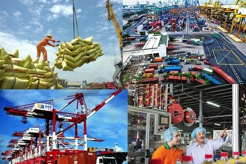 越南着力完成2019年经济增长目标