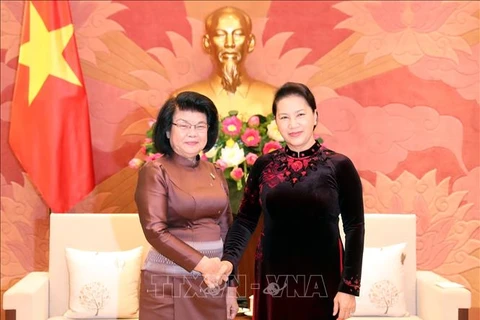 越南国会将同柬埔寨国会携手共促两国政府和人民的合作