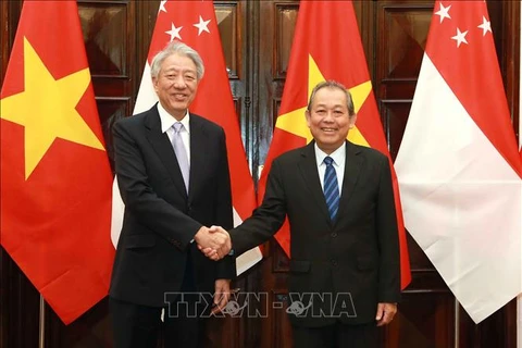 进一步促进越南与新加坡战略伙伴关系