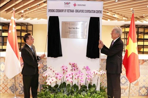 越南—新加坡合作中心正式揭牌成立