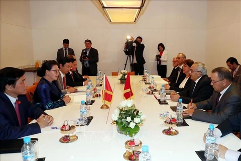 越南国会主席阮氏金银会见摩洛哥-越南友好协会主席穆斯塔法