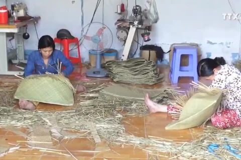 坚江省富美乡努力保护传统蒲草手工编织业