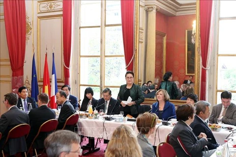 国会主席阮氏金银会见法越议员友好小组和法国企业代表