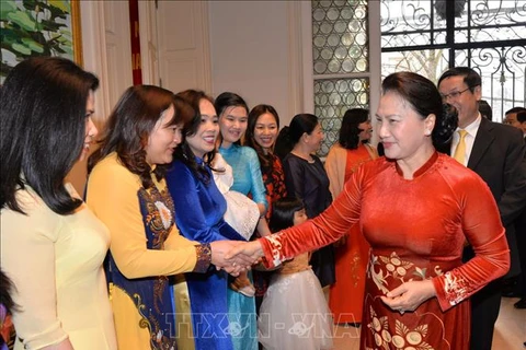 越南国会主席阮氏金银会见旅居比利时越南人代表