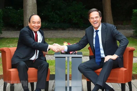 着力将越南与荷兰两国关系向纵深推进