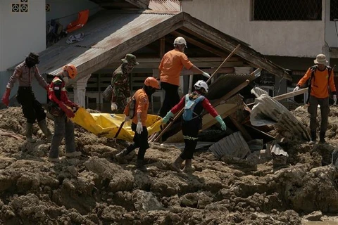 东帝汶和印尼发生强烈地震