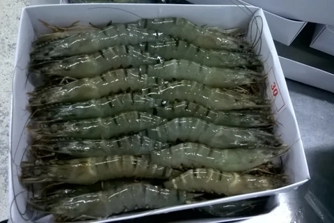 越南首个虾类产品在线交易平台正式亮相
