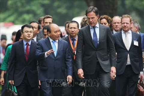 荷兰首相马克·吕特圆满结束对越南进行的正式访问
