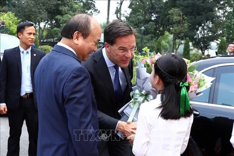 荷兰首相马克·吕特:荷兰是越南人民在欧洲的朋友
