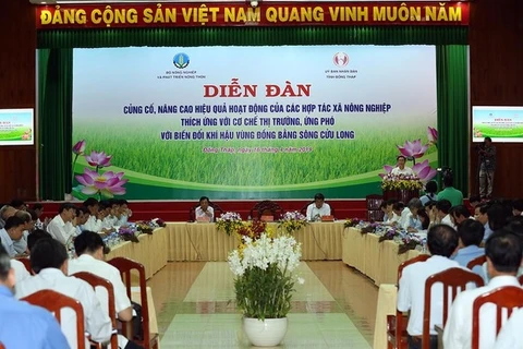 越南九龙江三角洲农业合作社适应市场经济和应对气候变化